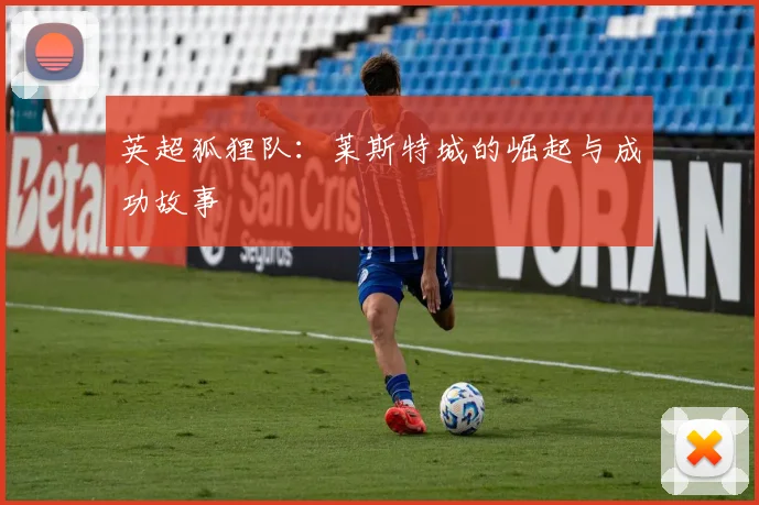 英超狐狸队:莱斯特城的崛起与成功故事